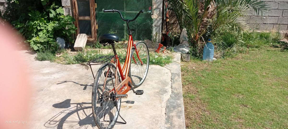السلام عليكم باسكل ياباني للبيع حجم 26 الباسكل كامل سعر 65وبي مجال شويه الشراي يجيني خاص


**إذا كنت صاحب هذا الإعلان وتريد حذفه لأي سبب، رجاءا أرسل رسالة إلى الدعم الفني**