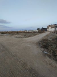 البصرة الفيحاء • ربع دونم • طاب وصرف زراعي