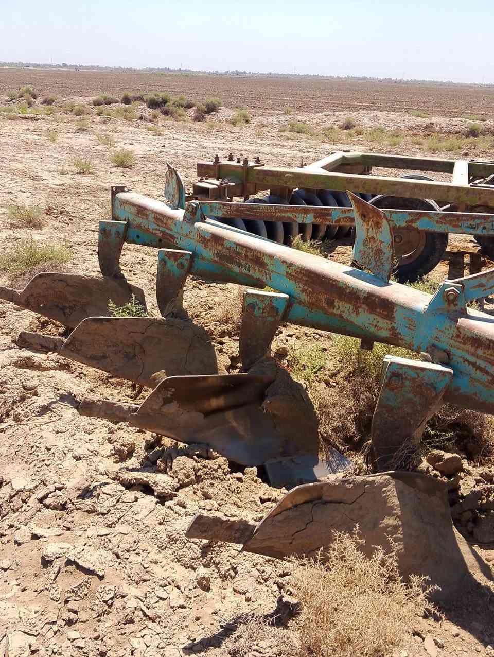 سلام عليكم فدان إيطالي ناردي مكفول من كل عيب شرعي مكان بابل اجبله الاتصال ***********
