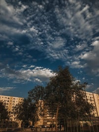 بسماية • ١٠٠م • تحويل مباشر