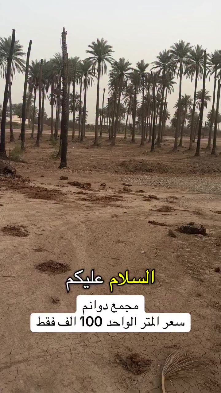 سعر المتر الواحد 100 الف (مجمع دوانم داخل الدورة)
***********_***********_***********
