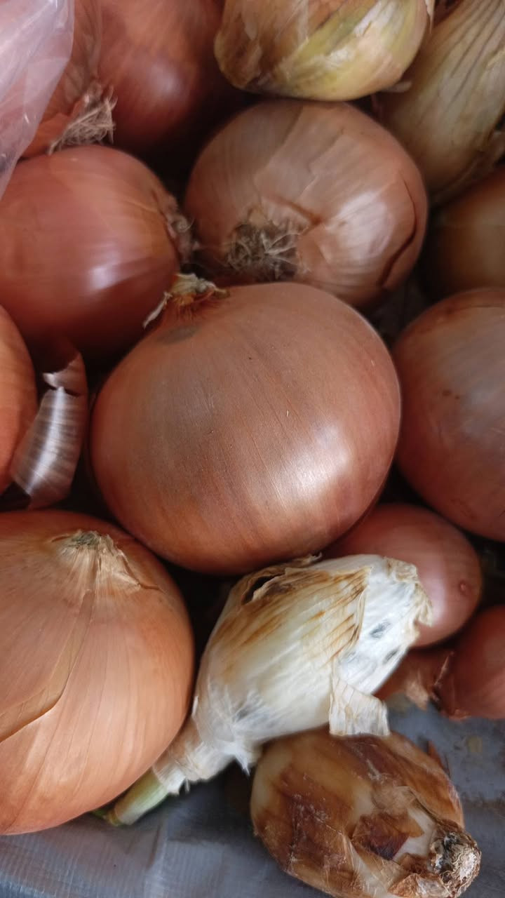 طبتم #وطابت اوقاتكم بالصلاة على الحبيب محمد 

أسعار اليوم 🔥🔥🔥

بقالية حمودي للفواكه والخضراوات 

طماطه  500

بتيته 500

خس 500

بصل 750

شجر1000

 بيذنجان 100

لهانه 750

قرنابيط 750

تفاح 750

خيار 750

فلفل 1500

لالنكي 1500

برتقال عراقي 1000

رمان 1500

موز  1000

فروله علبة 1000

خضراوات مشكل 10 ب 1000

عنوانا هيت حي الزهور الثانية نهاية شارع المتنزه قرب أسواق عبود 

يتوفر توصيل #مجاني داخل مدينة هيت


**إذا كنت صاحب هذا الإعلان وتريد حذفه لأي سبب، رجاءا أرسل رسالة إلى الدعم الفني**