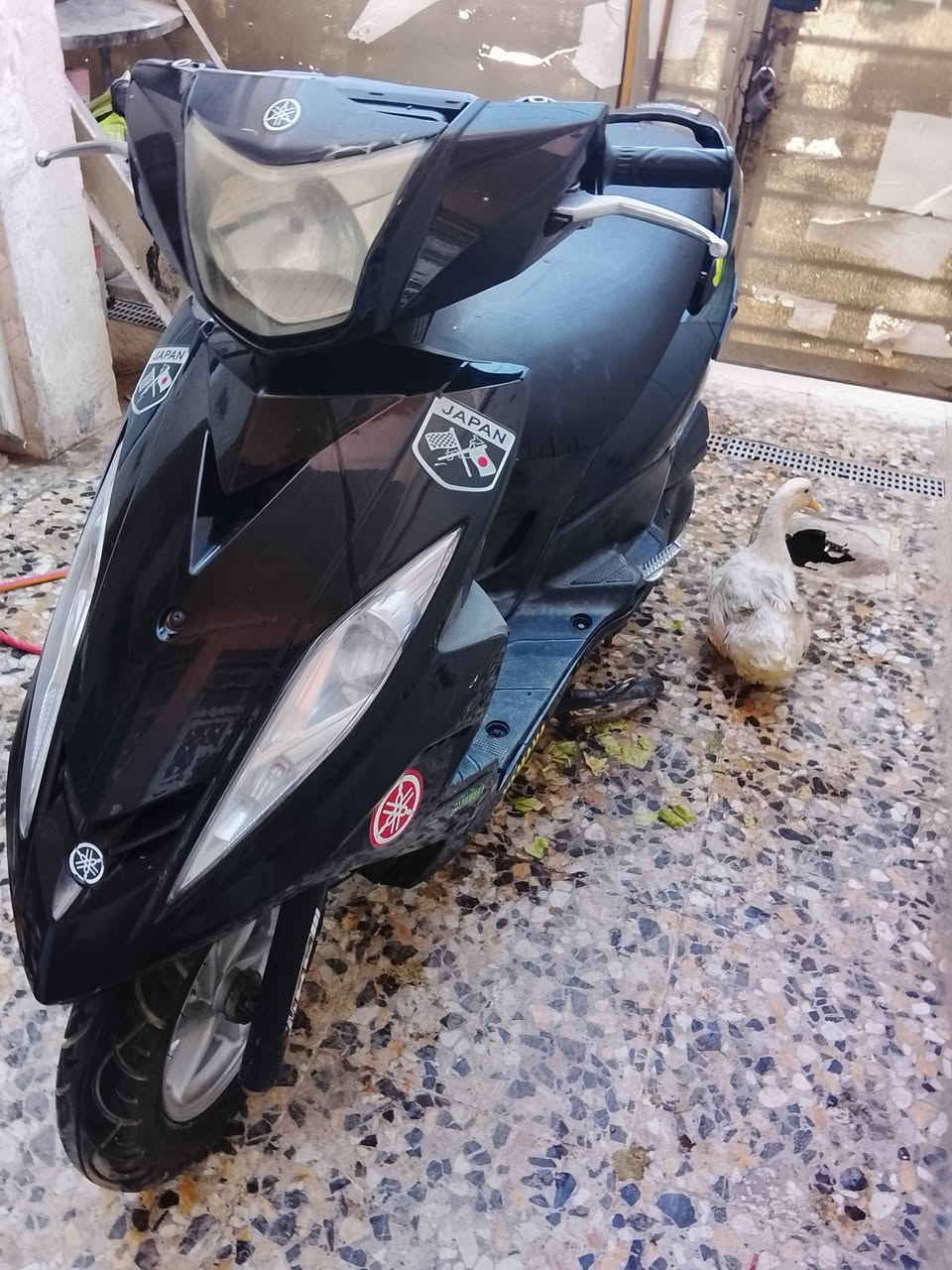 جي تي ار ياباني سكليتر خطين كله شغاله اي نقص مابيه السعر 750 بغداد المشتل ***********
