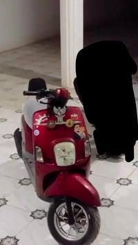 بوليسي • نوزل • سلف