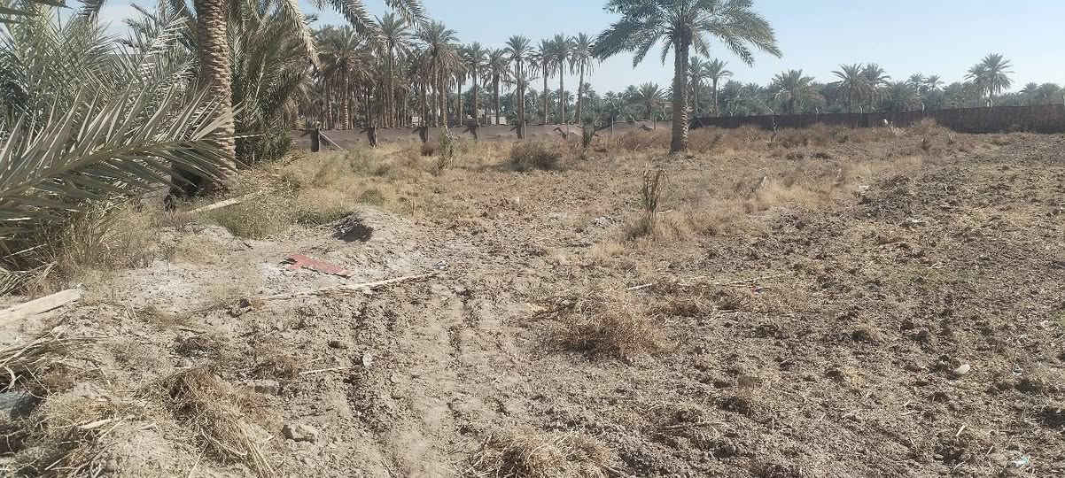 قطعه ارض المساحه 2دونم طريق حله نجف قرب البوابه بيها كافه الخدمات ماء كهرباء تبليط
 *********** اتصل وسعر كلش مناسب مستعجل عل بيع الكاع واجهيت شارع رئيسي

مرخصه الادمن
