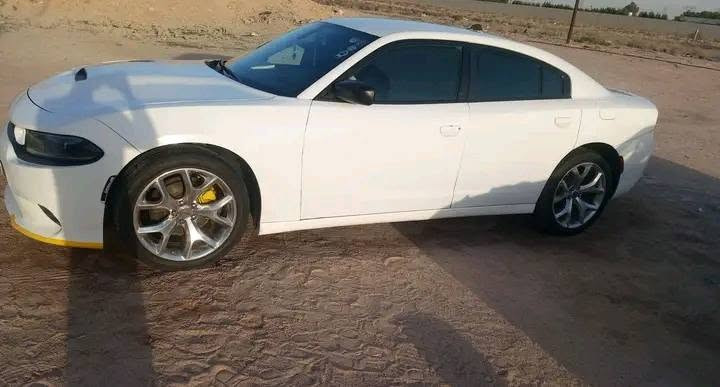 سلام عليكم السعر [165] اوبيه مجال من رخصه الادمن البيع / دودج جارجر ((2020)) اصل اصل رقم اربيل تحويل ثاني يوم ب اسم المشتري سنويه جديدهه السياره حادث امريكه بابين وهنا بلعراق جاملغ تبديل وجاملغ صبغ 
مواصفات السياره 
1/مكينه وكير كفاله 3600
2/ شاشه كبيره كار بلي 
3/ كاميرا خلفيه مع حساسات 
4/ تبريد تدفئه امامي خلفي ثلج 
5/ تخم تاير مع ويل 20  
6 / حداديه امامي خلفي جديده 
7/تحكمات ستيرا 
وباقي المواصفات معروفه والسياره جاهزه من كلشي وجديده ومعتني بيهه واحلا من الصوره بهواي  والعلم صور حديثه  السعر (165$) اوبيه مجال للشراي انشالله تجي وشوف ***********)   البصره )
