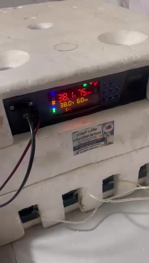 أهلا وسهلا بكم في مكتب البيادر
أرجو إتصال *********** 
لكثره الطلبات ولود عليه ما اكدر اجاوب رسائل اتصل بيه إذا كنت شراي وبخدمتكم انه أنور عاصف
