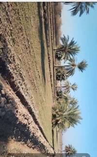 ارض زراعية • بهرز النقيب • ٥ دوانم