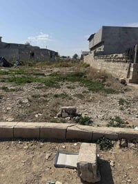 برغة • زراعي • ١٠٠م