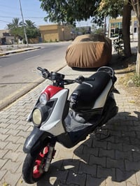 سكنس جبلي • كفاله عامه • شغال