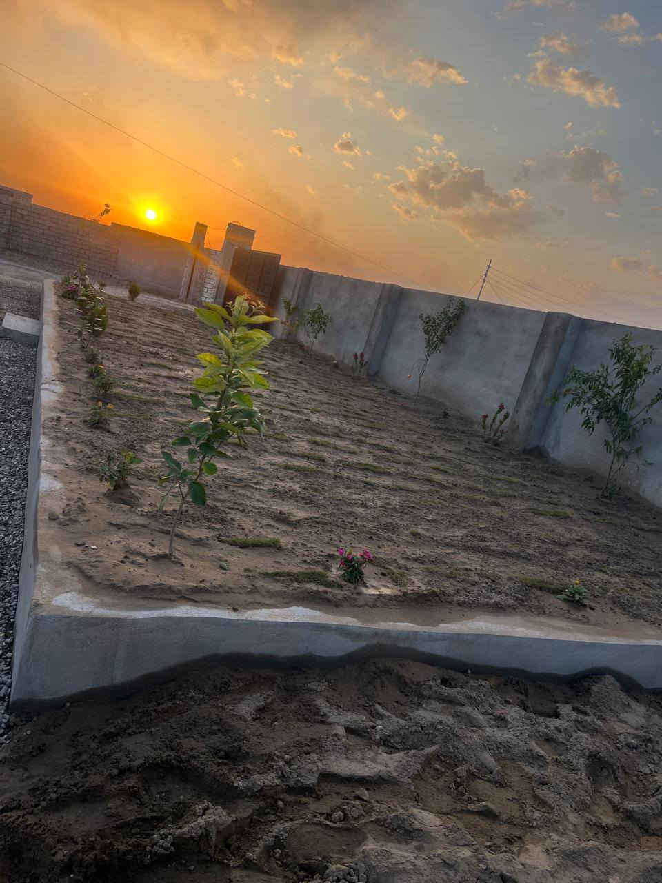 السلام عليكم اشتغل جميع الحدائق والبساتين  وتنظيف الحدائق من الدغل وتقليم الأشجار وزرع الشتل وقص الحدائق بل مكينه عل نمره وحدة وقص الأشجار الكبار  كادر متميز وسريع إتصل رقم الهاتف***********
