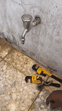 10 حنفيات وزن ثقيل جدا وزن قطعه ربع كيلو فولاذ كلهم ب30 يابلاششش
الحجز فقط وتساب *********** إذا مو اصلي او مو ثقيل رجعهن
