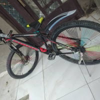 باسكل جبلي • حجم ٢٦ • نادر الثانية