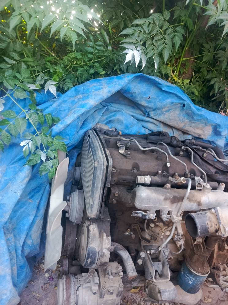 مەکینەی کیای بار 3000 هەزاری کارەبای بۆ فرۆشتن مەجینە وو گێرە مەجینەکە کەمەک بوخاری هەیە لەگەر نۆزڵەکانی خاوێن کردنەوەی دەوێ وە پەمپو سلفی لەگەر نیە مەجینەکە ئیش دەکا بەشەرتی ئیش کردن بەس کەمەک بوخاری هەیە لەگەر نۆزڵی خاوێن کردنەوەی دەوێ سەعری 490 هەزارو کەمەک مەعامەلە شوێن هەولێر أربيل, العراق


**إذا كنت صاحب هذا الإعلان وتريد حذفه لأي سبب، رجاءا أرسل رسالة إلى الدعم الفني**