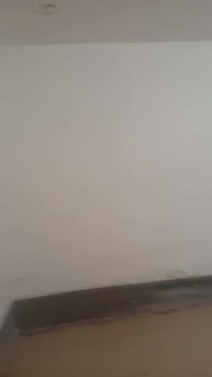 بيت للبيع مساحه ٢٠٠ متر سند ٢٥ كافة التفاصيل بالفيديو التواصل خاص او واتساب *********** العنوان كربلاء طريق طويريج عمود ١٢٨ قرب قاعة الشمس سعر مناسب وتحياتي
