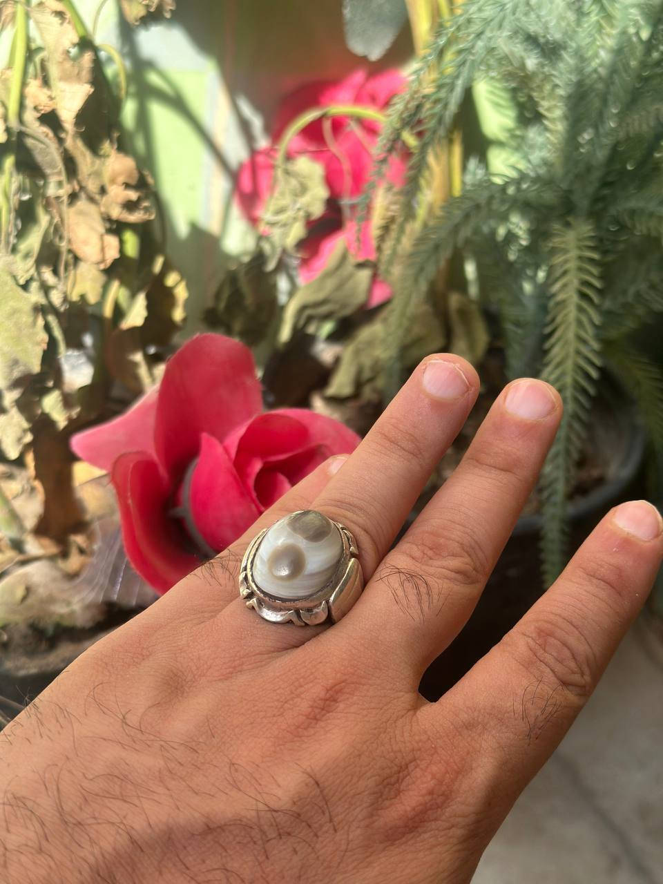 السلام عليكم سليمانيه عيون قديمه بالذمه مال تسعينات بصياغه ثقيله عظد حجره محبه فاسده لكي ابرء ذمتي
ناصريه مركز البيع فقط ماعندي توصيل مناسبه سعره


**إذا كنت صاحب هذا الإعلان وتريد حذفه لأي سبب، رجاءا أرسل رسالة إلى الدعم الفني**