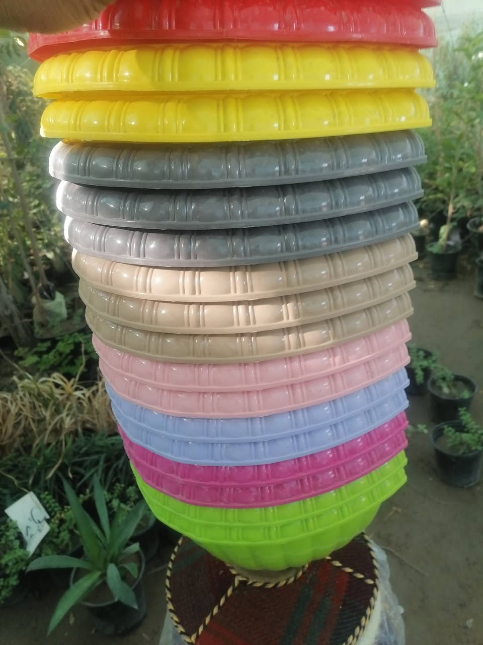 يعلن مشتل غصن الورد عن توفر العديد من الاشجار والورود:
بإدارة:  ابو علاء الحجامي ***********
العنوان: قضاء الفجر / سيطرة الفجر الرئيسية.

كالبتوز حجم وسط وكبير
البيزيا عطرية
اكاسيا مصرية سورنتس
اكاسيا عراقية
جهنمي 3 الوان
بخور
حنة
بمبر
الخطم الساحلي
كاربس
دفلة
زيتون
تكي عراقي
رمان عراقي
سدر حشري
عين البزون
ورد الصباح
صبار التين شوكي
المورنگا الطبية
متسلق ست الحسن.............الخ
