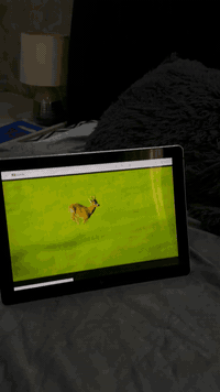 مرحبا جهاز hp  تاب لابتوب هجين لمس مواصفات كور اي 5جيل 7 رام 8كيكا هارد ٢٥٦ كارت شاشه 4كيكا. سعره ٢٠٠ وعندي توصيل لكل لعراق (٢٠٠هوه والتوصيل. وياشاحنه فقط )
***********
