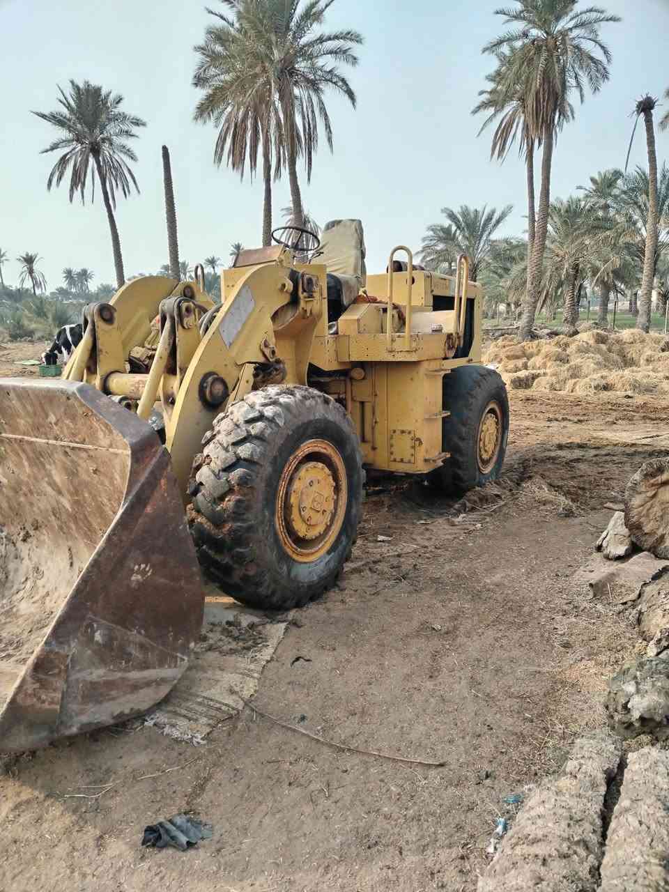 شفل للبيع رقم نجف بسمي ***********
