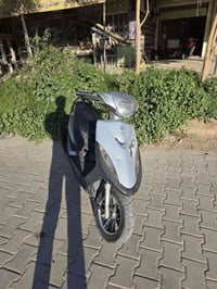 ماكس عدلة • بوشة ٤٩ • كفاله عامه