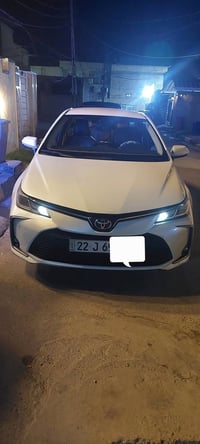 كورلا جيهان • ٢٠٢٠ • بغداد