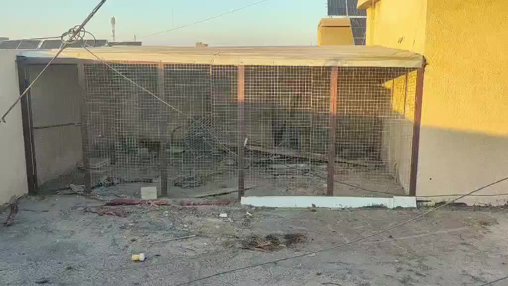 الارتفاع متر ونص
الواجهية 4 متر
نوع السيم ثقيل ولسقف جينكو جديد


**إذا كنت صاحب هذا الإعلان وتريد حذفه لأي سبب، رجاءا أرسل رسالة إلى الدعم الفني**