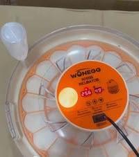 فقاسة بيض • 30 بيضة • سوق الشيوخ