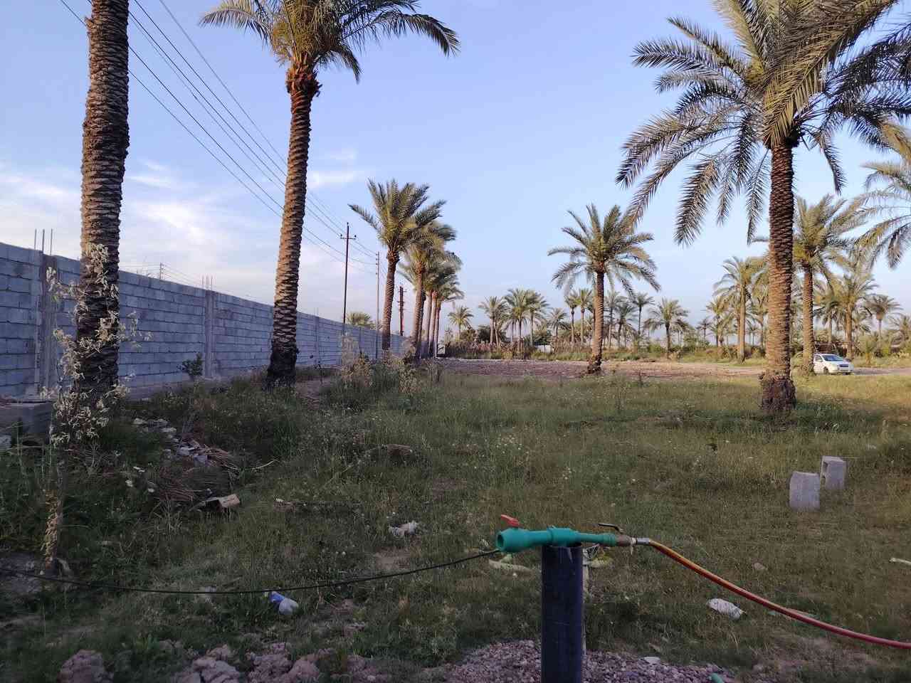 سلام عليكم يوجد لدينا قطعت أرض المساحة ٢دونم الواجهة ٥٣ ونزال ٩٥ صايره ركن عله شارعين وبيها نخل كله برحي +حمضيات الكاع طابو ملك صرف العنوان بغداد اليوسفية حي شهداء شارع ضباط وباقي الاستفسار
***********

سلام عليكم يوجد لدينا قطعت أرض المساحة ٢دونم الواجهة ٥٣ ونزال ٩٥ صايره ركن عله شارعين وبيها نخل كله برحي +حمضيات الكاع طابو ملك صرف العنوان بغداد اليوسفية حي شهداء شارع ضباط وباقي الاستفسار
