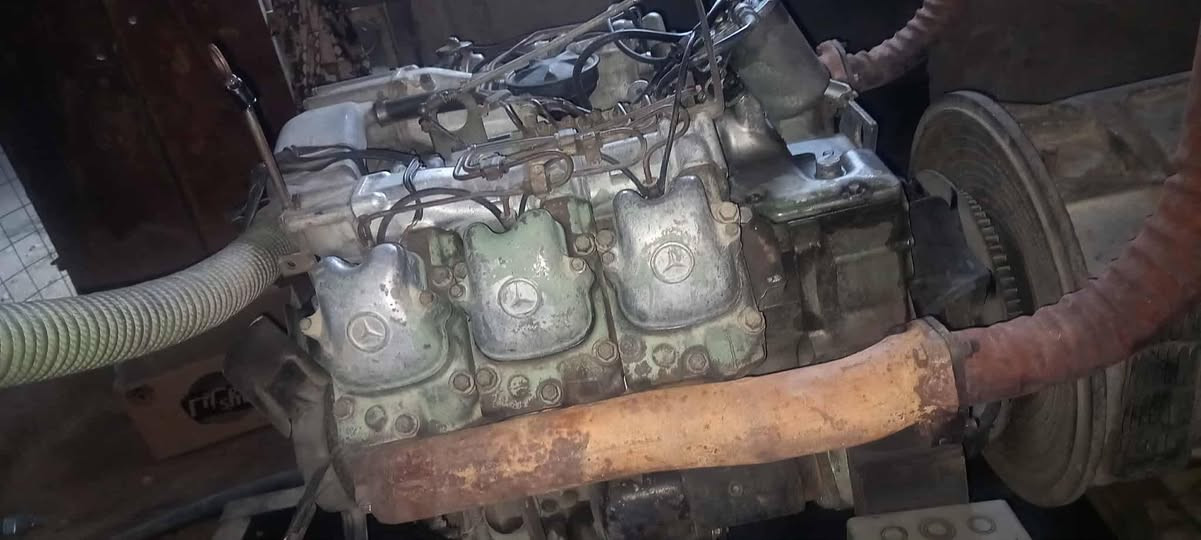 مولده البي ٦محسن ١٢٨ توليد ١٨٠كيفي ***********
