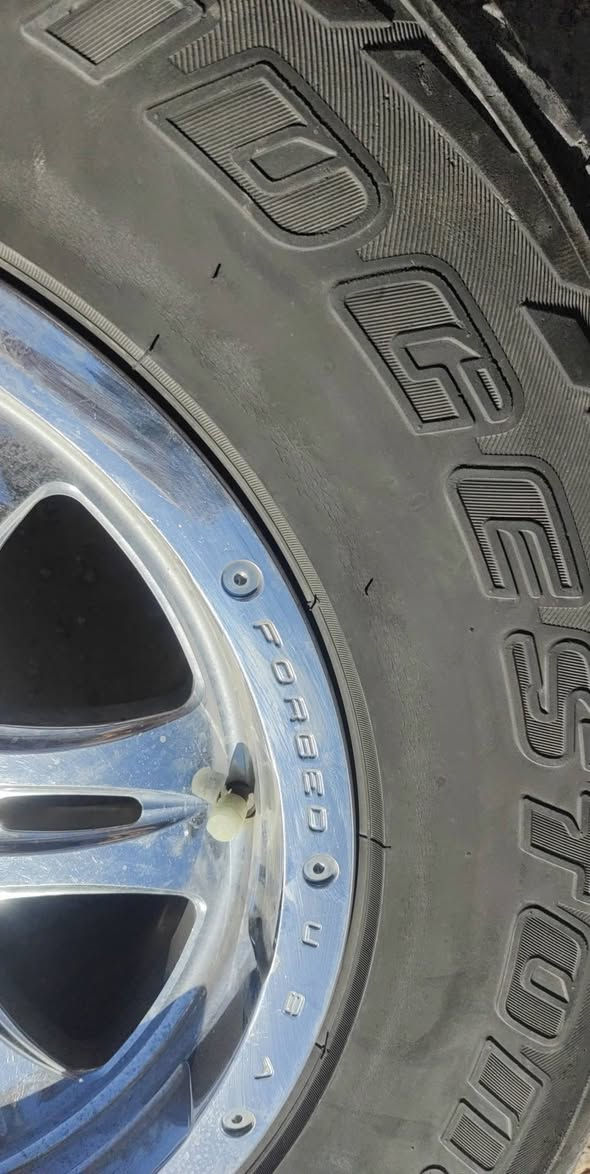 سلام عليكم عندي تخم ويل حجم 17 للمراوس بأي ويل جبلي شعندك ويل حجم 20 نزل مراوس


**إذا كنت صاحب هذا الإعلان وتريد حذفه لأي سبب، رجاءا أرسل رسالة إلى الدعم الفني**