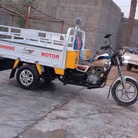 ستوتة ام الطير • ٢٠١٩ • دلي عباس صراجق