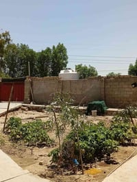 نزلت إبراهيم الخليل • ١٠٠٠م • ٣ غرف
