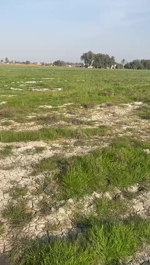 #عقارات_النسيم_في_التاجي منطقة_الشيخ_عامر 🌎وتابع شروط ضمان حقك 🔵🟢🔴 يتوفر لدينا أرض زراعية 🌳🔴 بمساحة ( 20دونم  🔴جنس العقار - طابو زراعي سند 25 - تحويل سند  بأسمك⚠️ #سعر 22مليون للدونم الواحد اكو مجال بسعر  متوفر جميع الخدمات الأساسية ✅▪️ ماء اسالة ▪️ ماء سقي ▪️ كهرباء مدار 24 ساعه ▪️ الأرض على تبليط مباشر▪️سوق مكتمل مطاعم وغيرها ▪️ مدارس ▪️جوامع ▪️مجمعات طبية 🏥 ملاعب ⚽▪️كثافة سكن منطقة ٪50تصلح للسكن وتصلح للزراعة مثل مزارع بلد 🌳🌲أو دور استراحة 🏡🏠  🔰شروط ضمان حقك ⬇️متدفع فلس الة بعد▪️ تثبيت حدود الأرض▪️اسلمك▪️أتعهد الك بكافة انواع الإجراءات القانونية▪️افتحلك بيان في التسجيل العقاري  ثاني يوم افتحلك بيان 👍صار حقك مضمون للستفسار***********‎
