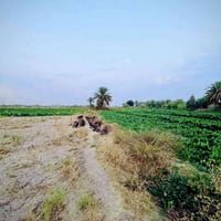 خلف جامعة بابل • دونمين • طابو زراعي سند ٢٥