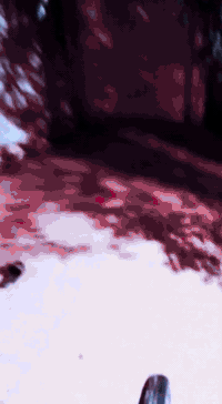 سلام عليكم دراجه للبيع نامه تعمير 24كلها حته شاصي شلامجه مكينه شلامجه برغي مامفتوح  شوفت عينك كلك مكان ناصريه مكلف بل نشر  رقم ***********تحياتي 🍒
