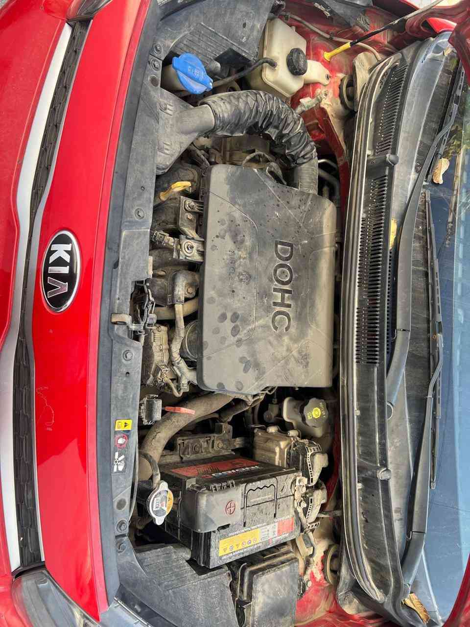 سلام عليكم
سياره للبيع كيا بيكانتو
الضرر حالوب خفيف ما يبين إله بالسونار
خدوش بسيطه
سياره بيت
ماشيه 46 موديل 2020
السعر 115 وبيها مجال بسيط
للتواصل مع الرقم *********** حجي إياد
