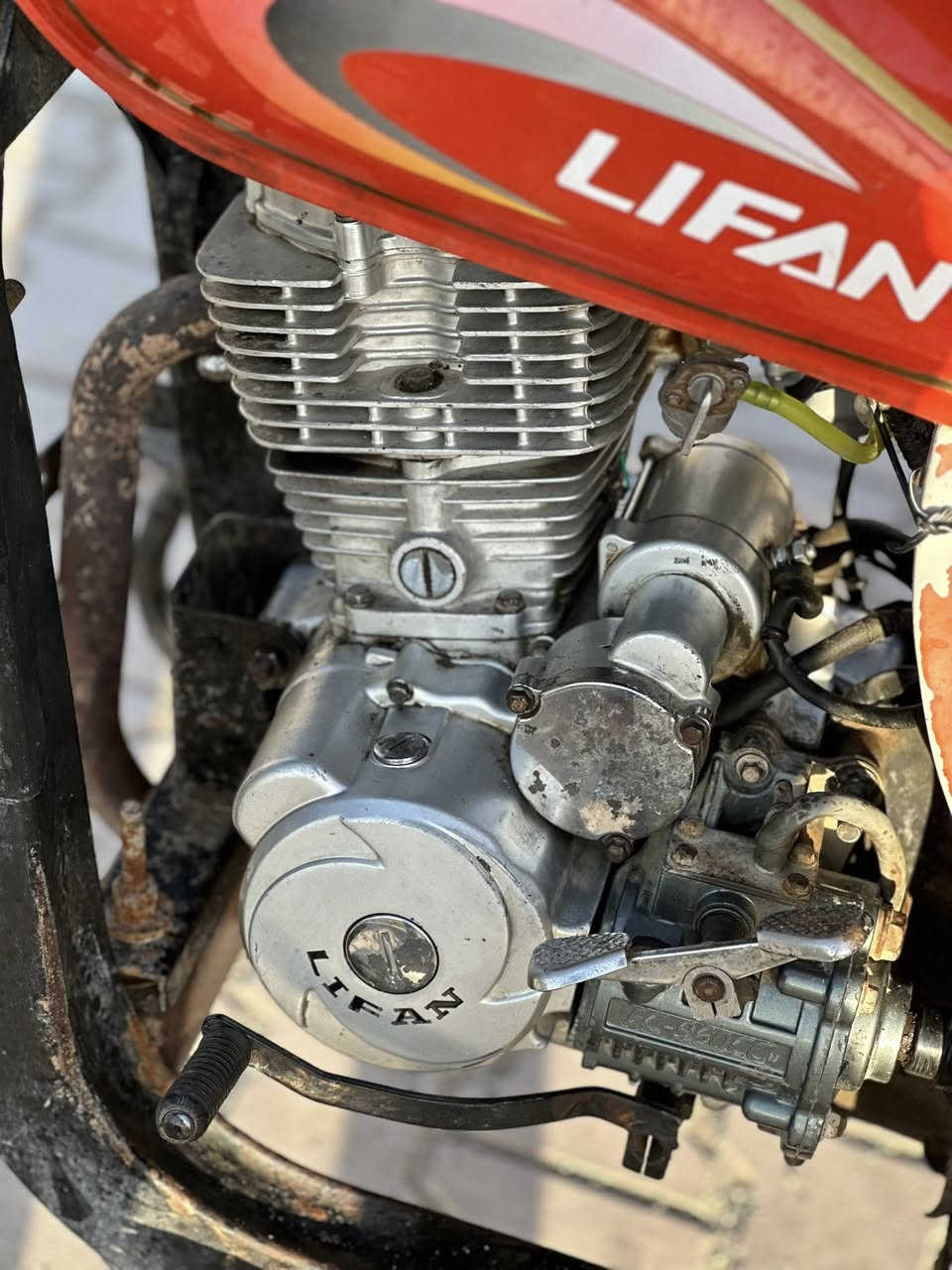 ستوته فرس للبيع  القرنه ناحيت اثغر رقمي *********** بسعر مناسب
