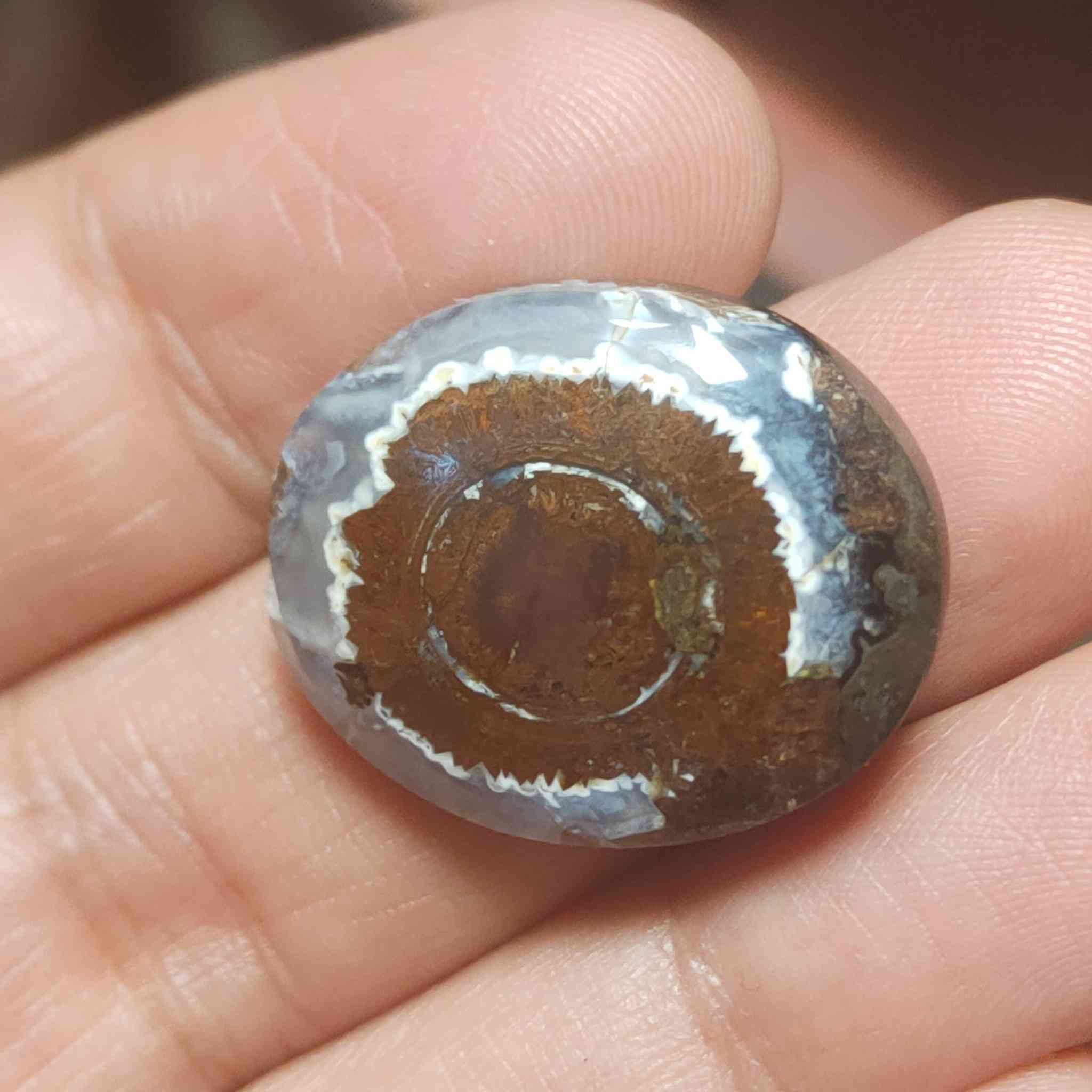 مجموعه فصوص داودي يماني 
يوجد توصيل الحجز خاص


**إذا كنت صاحب هذا الإعلان وتريد حذفه لأي سبب، رجاءا أرسل رسالة إلى الدعم الفني**