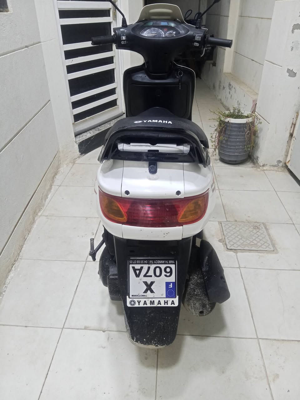 للبيع فراشة جديده كفاله مكان حله سعر 425 /م***********
