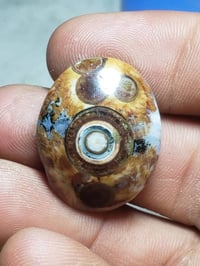 نوادر داوودي • جملة ومفرد • توصيل لجميع المحافظات