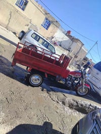 حيدر جبرين • مديل 18 • مكفوله