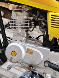 موديل ٢٠٢٣ • أوراق أصلية • بديوانية