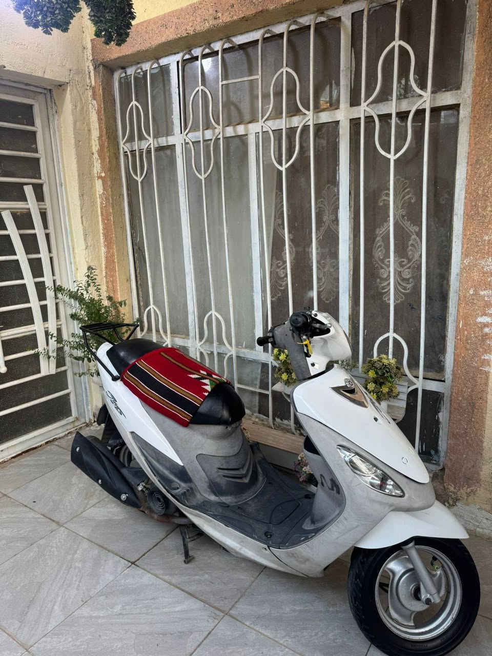 ماكس منغولي بلاد بوشه49 دراجة خير من الله معدل وشلعه مكفولة من النقص فقط السلف مبدل ما مفتوحة دراجه تجي وتشوف السعرر 650 وبيها مجال مكاني كربلاء وبيها وصل معرض


**إذا كنت صاحب هذا الإعلان وتريد حذفه لأي سبب، رجاءا أرسل رسالة إلى الدعم الفني**