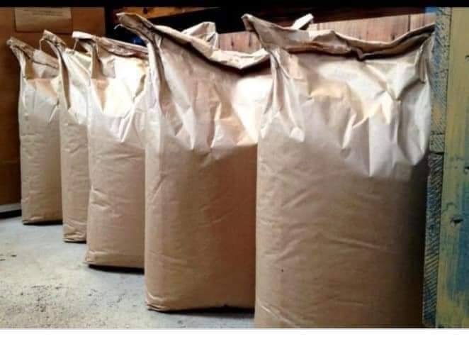 يوجد لدينا بذور بانيا فرنسيه بنت القوطيه الربعينيه؛   نتاجيه خير من الله  وخيار طرحي سباني متعهد *********** تريد ستندر شركه تريد بزاره امانت الله  مضبوط ولوبيه يطالي ستندر شركه
