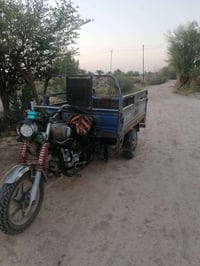 ستوته • ٢٠١٤ • اوراق اصولي