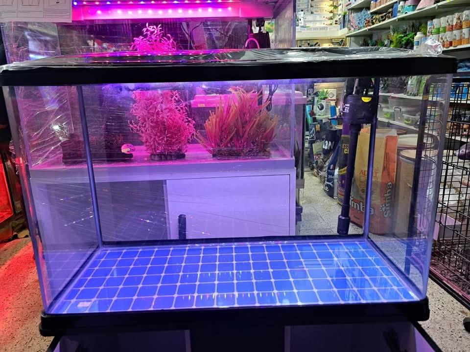 حوض 80سم مع الميز 
متوفر لون اسود وابيض
مع منضومة فلاتر سقفيه مع الماطور والإناره 
السعر160

موجود توصيل بغداد والى جميع المحافظات


**إذا كنت صاحب هذا الإعلان وتريد حذفه لأي سبب، رجاءا أرسل رسالة إلى الدعم الفني**