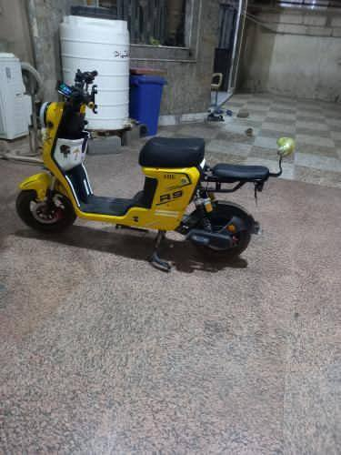 سلام عليكم ار تسعه للبيع بحاله وكاله 2025
*********** /500/بيهه مجال للشري  مكانهه البصره ابو خصيب يم مستشفى صيني
