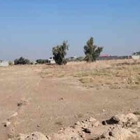 النعيميه • ٢٥٠م • طابو زراعي