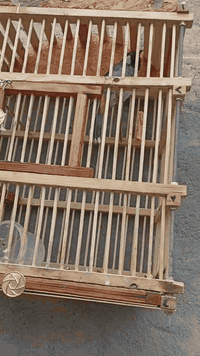 بلبل مفول حار ما يسكت ابد ابد بل حقيقه بكد فختيه ما شاء الله سعره 85 ن...