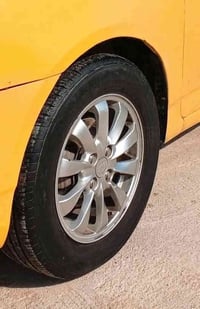 عندي هذا الويل تخم اريد تخم ويل اسود اصلي اليريد ايراوس يتصل  07726515...